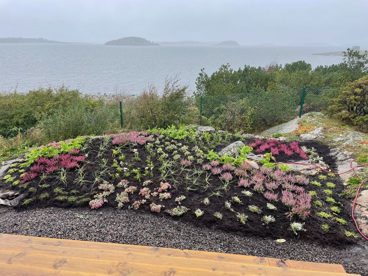 Trädgårdsskötsel i Varberg. Vi skapar unika trädgårdar.