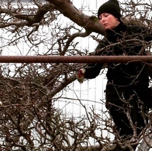 trädgårdsdesigner i göteborg