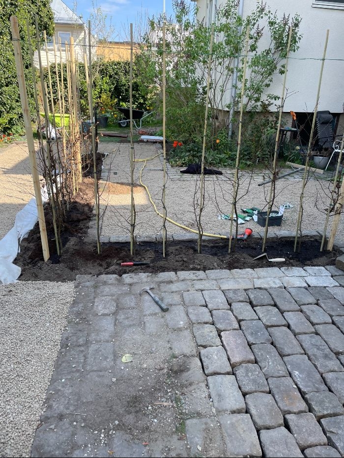 Trädgårdsanläggning i varberg. Vi hjälper dig att skapa en personlig trädgård.